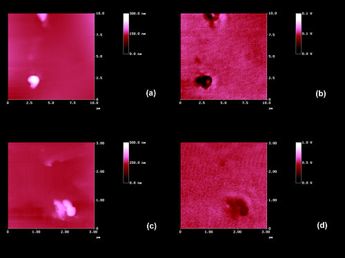 Figure 4 - click on image for higher resolution