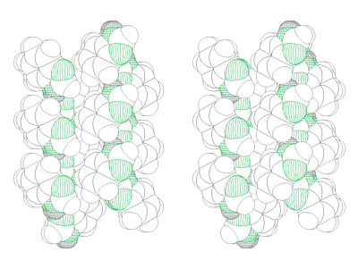 Space filling stereoscopic packing diagram of benzimidazole on (001)