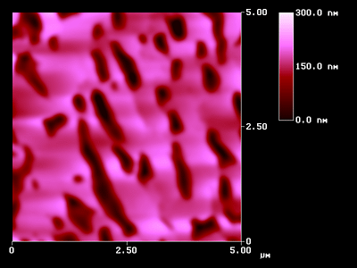 2D-projection of a rough AFM surface.