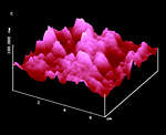 AFM Image