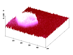 Figure 2b - click to enlarge